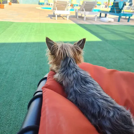 De Inchiriat Duly 4* Костинешти